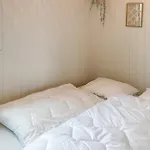 Amazing In With Wifi * Mesinge