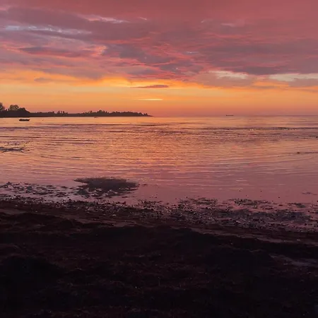 Amazing In With Wifi *