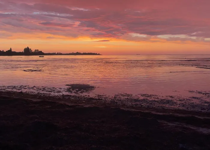 Amazing In With Wifi *